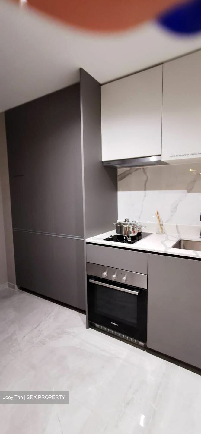 Affinity At Serangoon (D19), Apartment #437381311